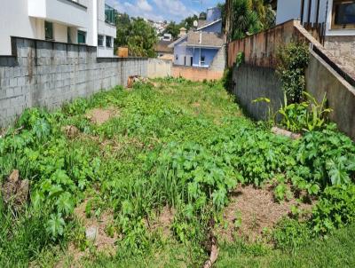 Terreno para Venda, em Mogi das Cruzes, bairro Parque Residencial Itapeti