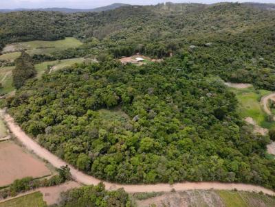 Terreno para Venda, em S�o Roque, bairro Centro (Canguera)
