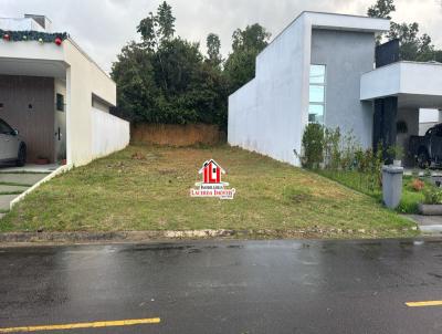 imagem-miniatura
