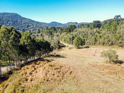 Terreno para Venda, em Piraquara, bairro 