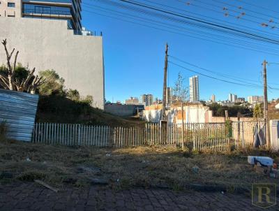 Terreno para Venda, em Guarapuava, bairro Santa Cruz