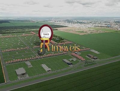 Terreno Residencial para Venda, em Nova Mutum, bairro Residencial Turim