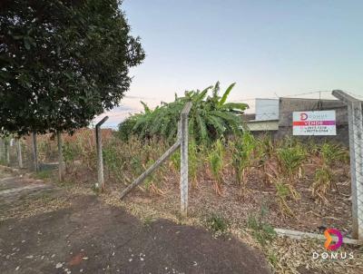 Terreno para Venda, em Presidente Prudente, bairro JARDIM MARACAN�