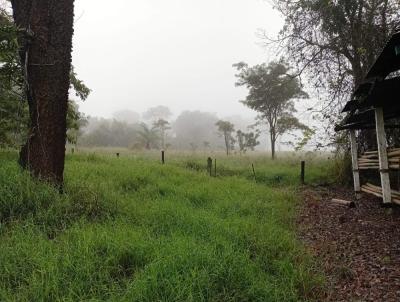 S�tio para Venda, em Santa Rosa de Viterbo, bairro RURAL