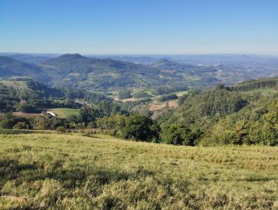 �rea Rural para Venda, em S�o Jos� do Sul, bairro interior