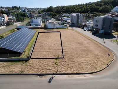 Terreno para Venda, em Francisco Beltr�o, bairro �gua Branca