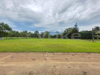 Terreno para Venda, em Pomerode, bairro Testo Rega