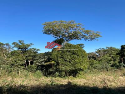 �rea Rural para Venda, em Tijucas do Sul, bairro Morro Vermelho