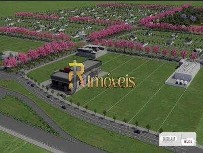 imagem-miniatura