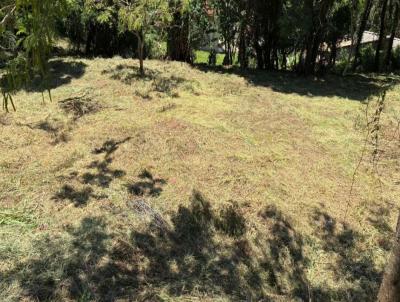 Terreno para Venda, em Jundia�, bairro Ivoturucaia