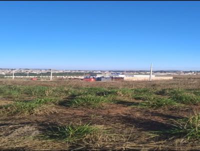 Terreno para Venda, em Passos, bairro Jacarand� Jequitib�