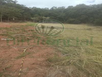 Terreno para Venda, em Vi�osa, bairro 