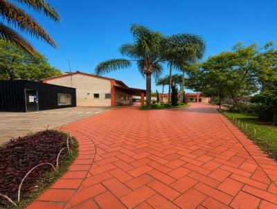 Apartamento para Venda, em Santo Andr�, bairro Jardim Santo Andr�, 2 dormit�rios, 1 banheiro, 1 vaga