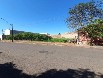 Terreno para Venda, em Lins, bairro Jardim Aeroporto