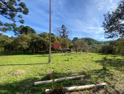 �rea para Venda, em Tijucas do Sul, bairro Vossoroca