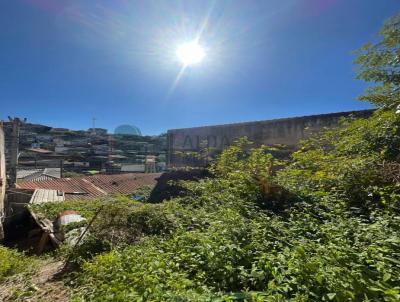 Terreno para Venda, em S�o Paulo, bairro Jardim Botucatu