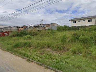 Terreno para Venda, em Palho�a, bairro Passa Vinte