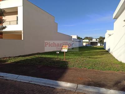 imagem-miniatura