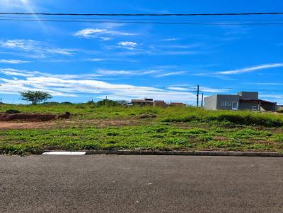 Terreno para Venda, em Ibir�, bairro Residencial Parque das Aroeiras