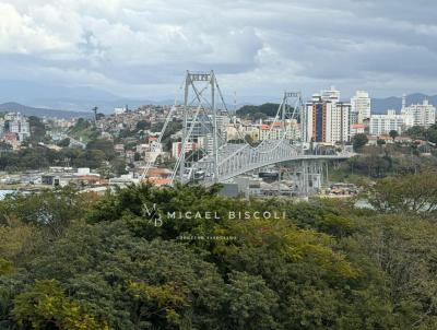 imagem-miniatura