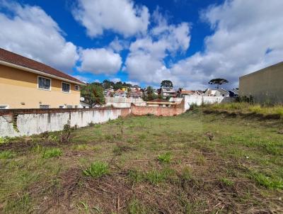 Terreno para Venda, em Almirante Tamandar�, bairro Tangu�