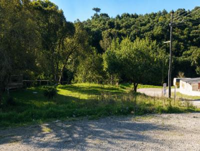 Terreno para Venda, em Farroupilha, bairro 1� de Maio