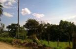 20160727104126183.jpg