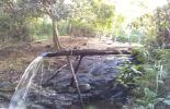 Refrescando na natureza