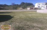 FRENTE