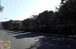 RUA ASFALTADA