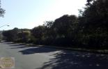 RUA ASFALTADA