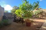 QUINTAL DO IM�VEL