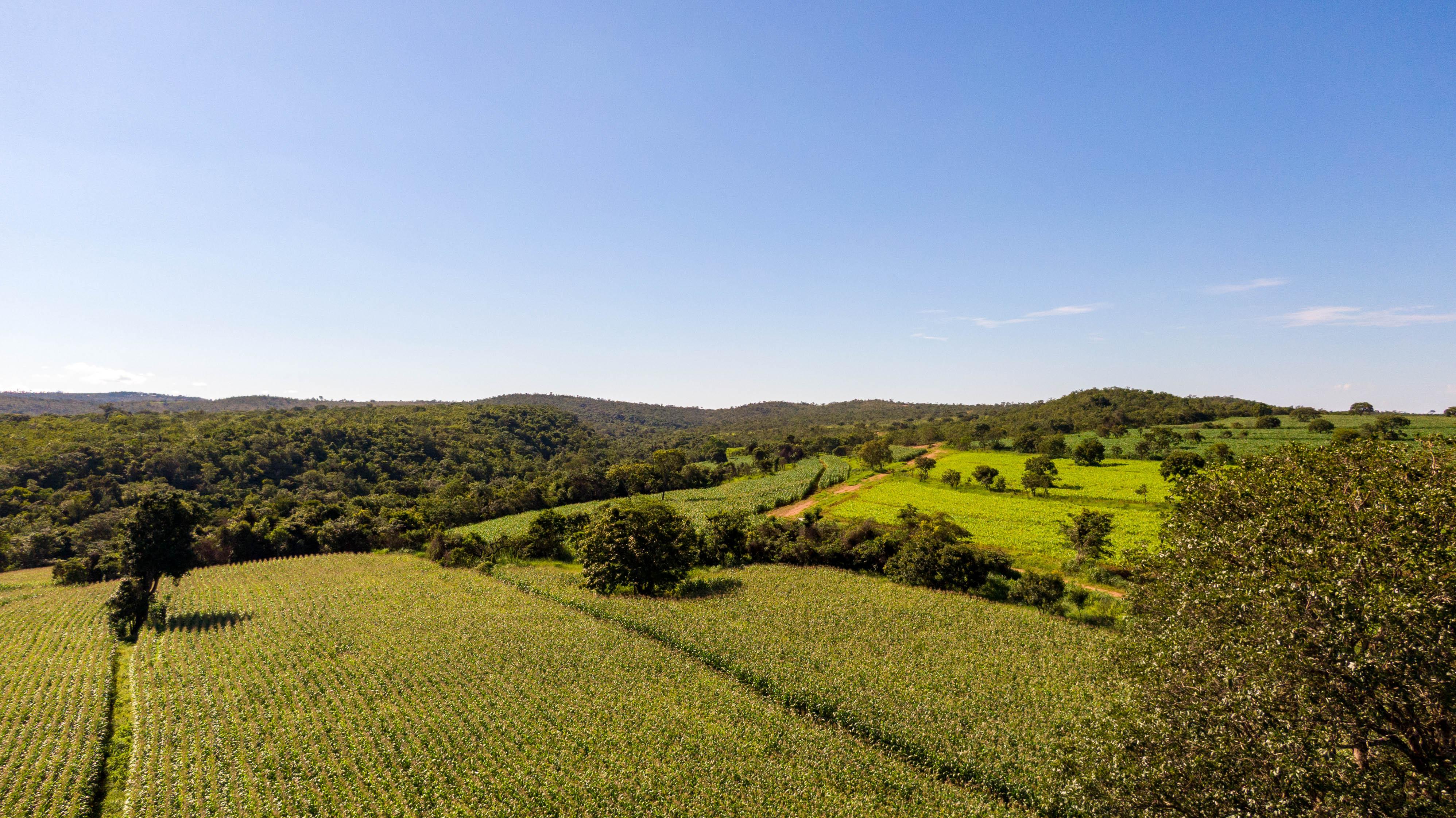 Fazendinhas Maring, Seu Paraso Rural Prximo a Lagoa Santa, Minas Gerais 🌳