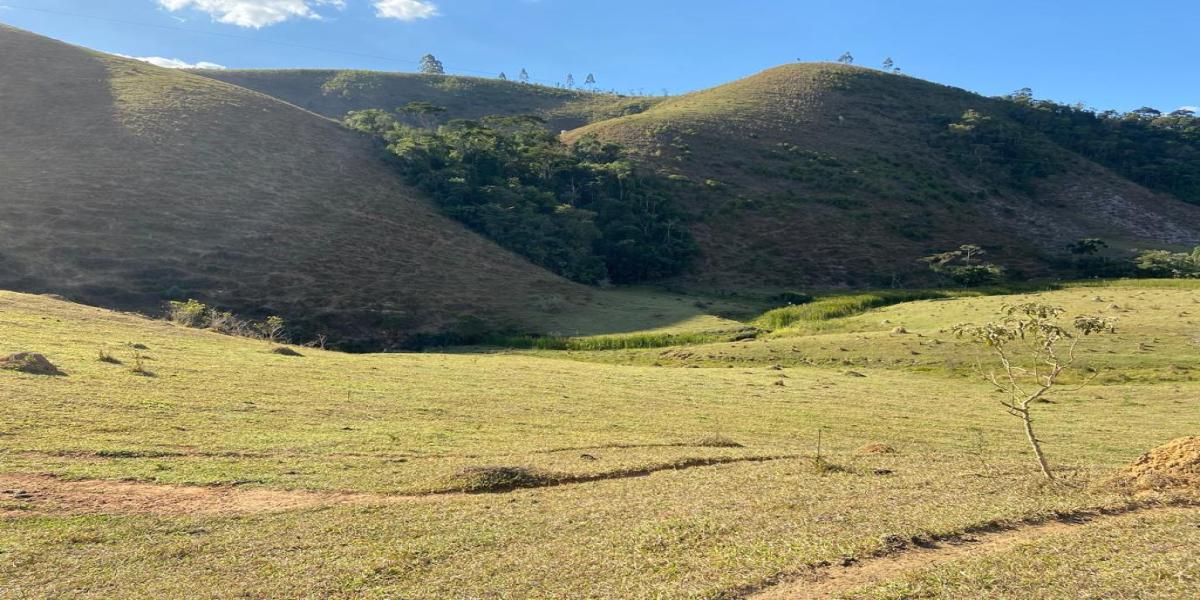 FAZENDA 35KM DO CENTRO DE JUIZ DE FORA